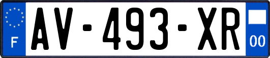 AV-493-XR