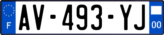 AV-493-YJ