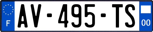 AV-495-TS