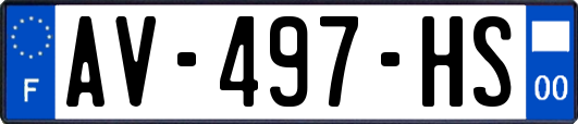 AV-497-HS