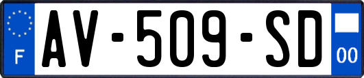 AV-509-SD