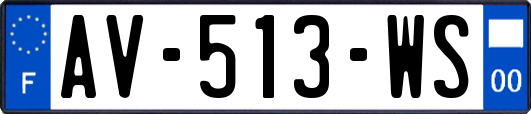 AV-513-WS