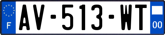 AV-513-WT