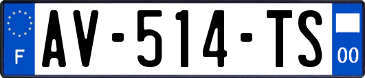 AV-514-TS