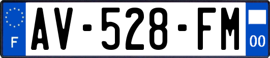 AV-528-FM