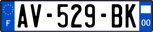 AV-529-BK