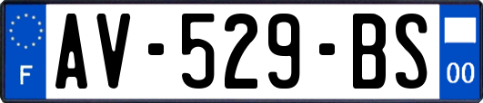 AV-529-BS
