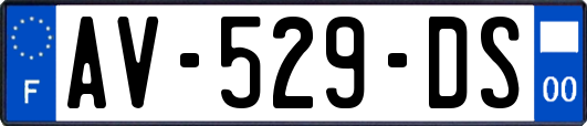 AV-529-DS