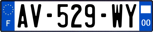 AV-529-WY