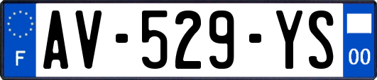 AV-529-YS