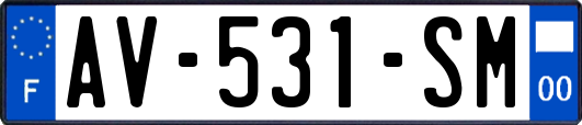 AV-531-SM