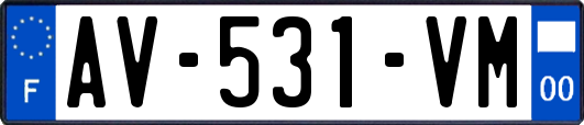 AV-531-VM