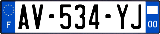 AV-534-YJ