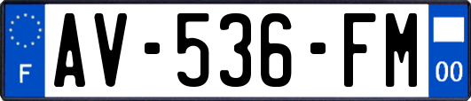 AV-536-FM