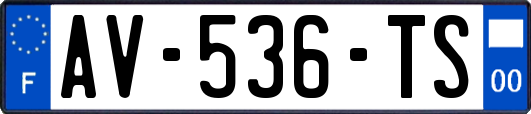 AV-536-TS