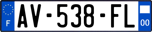 AV-538-FL
