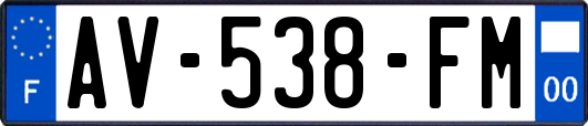 AV-538-FM