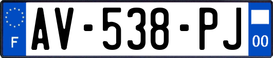 AV-538-PJ
