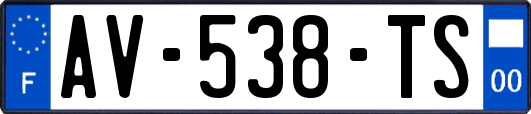 AV-538-TS