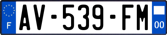 AV-539-FM