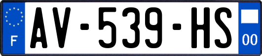 AV-539-HS