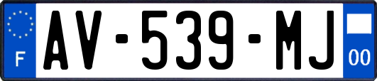 AV-539-MJ