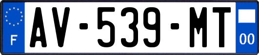 AV-539-MT