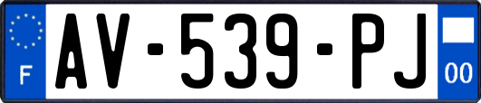 AV-539-PJ