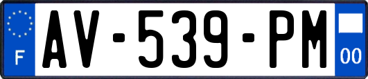 AV-539-PM