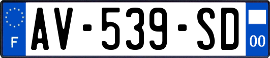 AV-539-SD