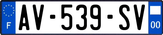 AV-539-SV