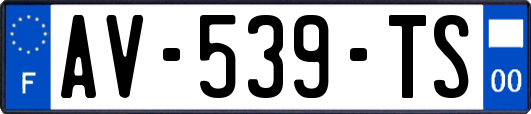 AV-539-TS