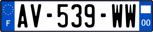 AV-539-WW