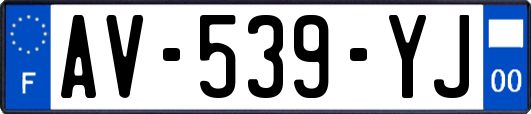AV-539-YJ