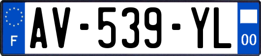 AV-539-YL