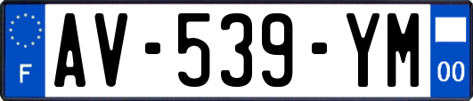 AV-539-YM