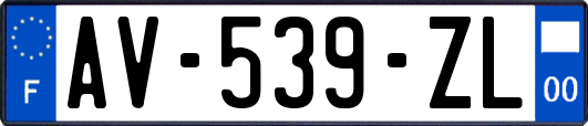 AV-539-ZL