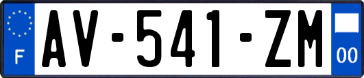 AV-541-ZM
