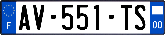 AV-551-TS