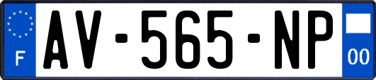 AV-565-NP