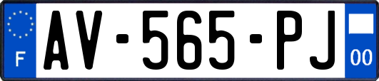 AV-565-PJ