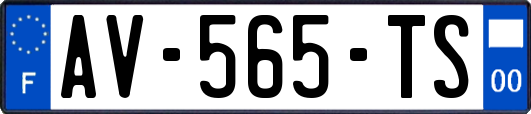 AV-565-TS