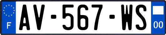 AV-567-WS