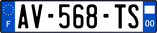 AV-568-TS