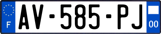 AV-585-PJ