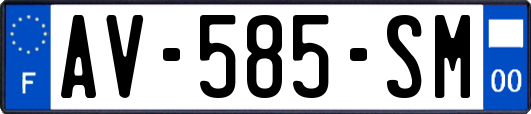 AV-585-SM