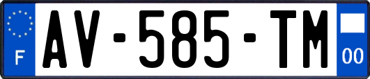 AV-585-TM
