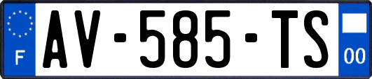 AV-585-TS
