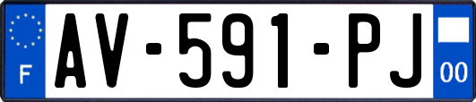 AV-591-PJ