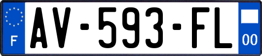 AV-593-FL
